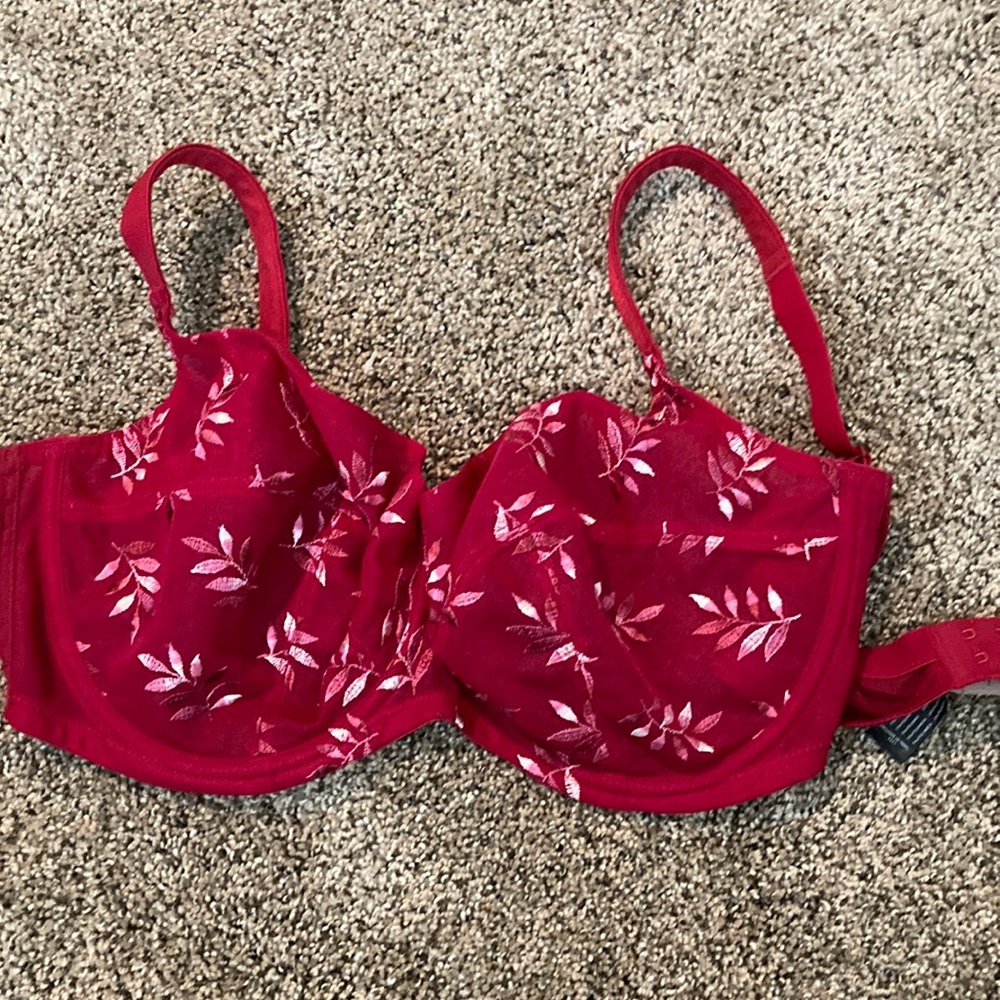 Panache Tango bra 40DDD/F